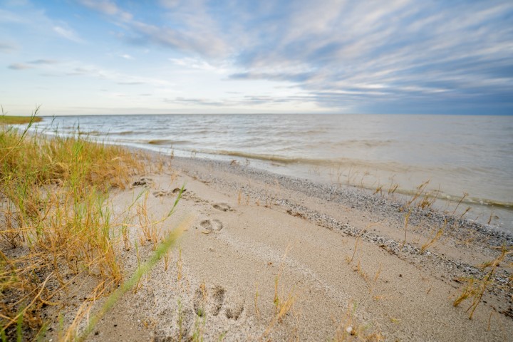 Nata Bird Sanctuary